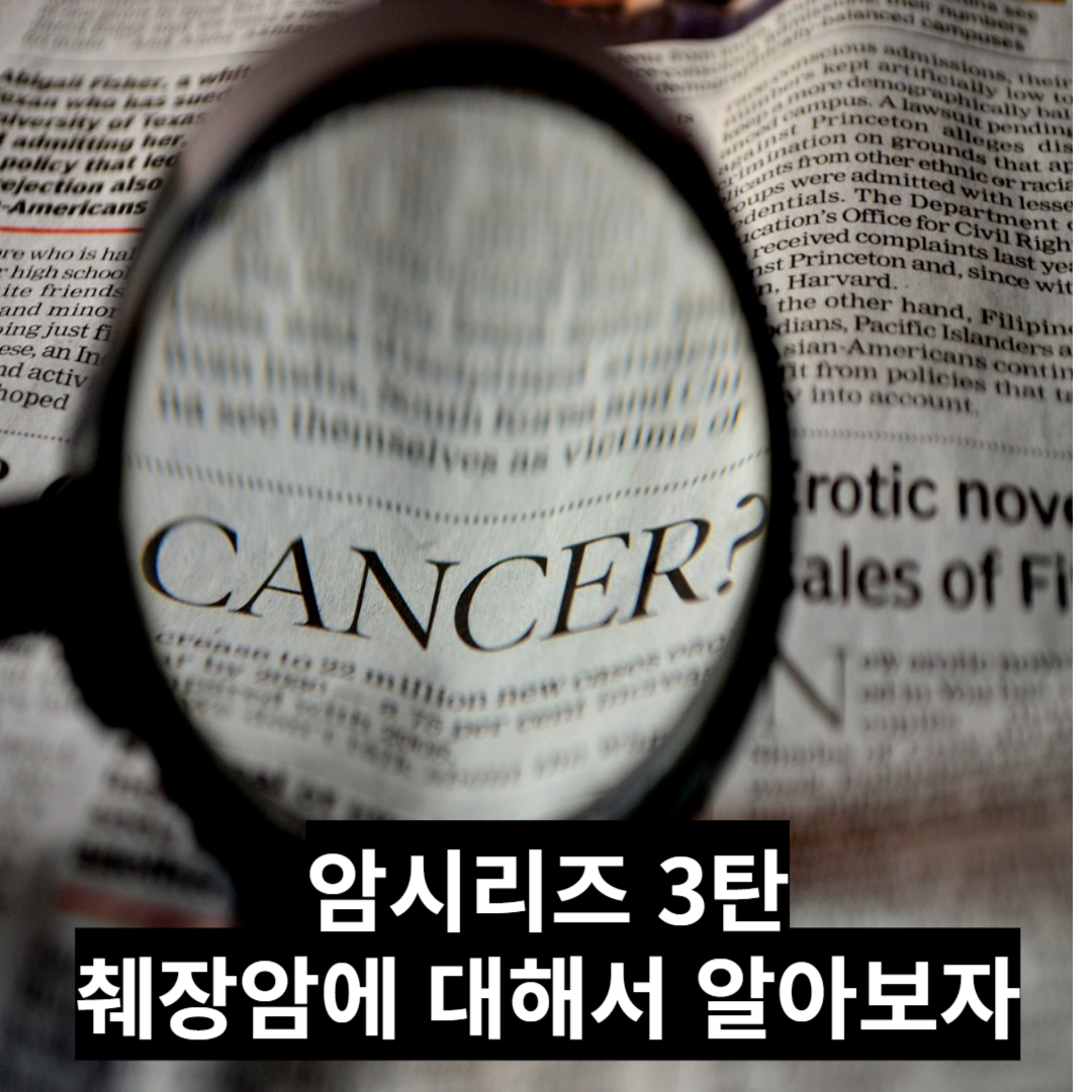 [암시리즈 3탄] 췌장암